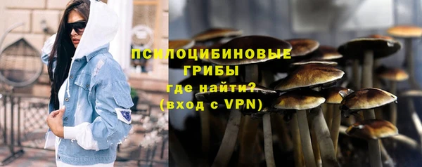 не бодяженный Арсеньев